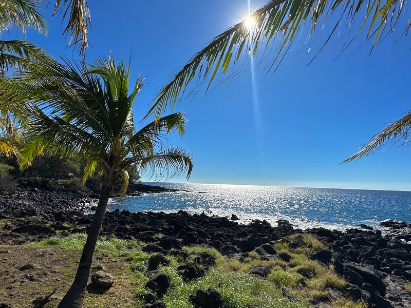 Todd Alan Juenger in Kapa'a Beach Park
