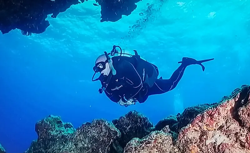Todd A. Juenger Australia Diving